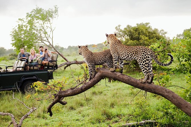 Wildlife