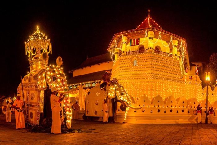 Untitled design (33)