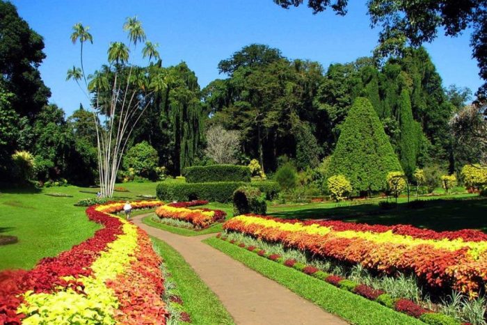 Untitled design (38)