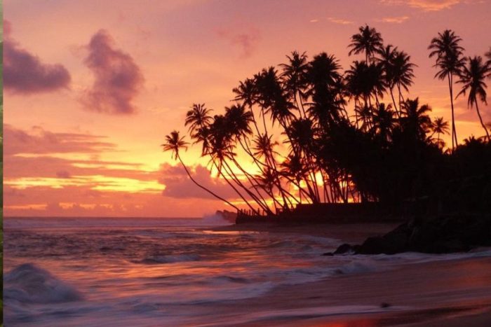 Untitled design (41)