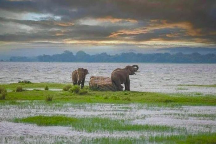 Untitled design (78)