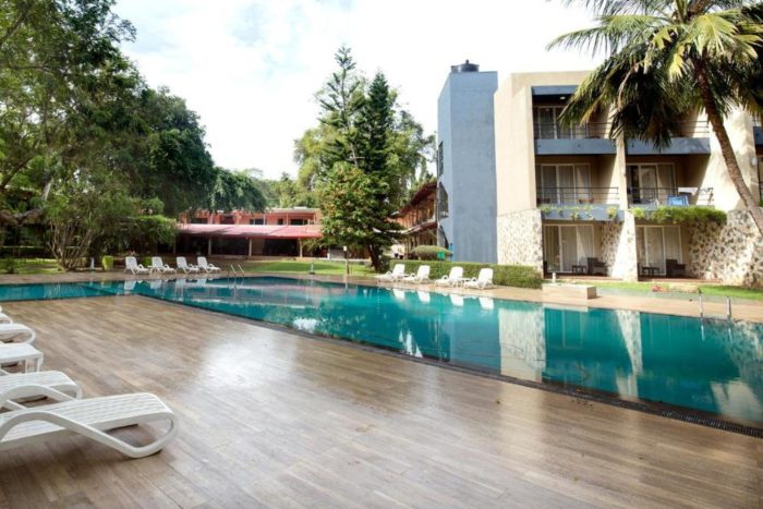 Your paragraph text (1)