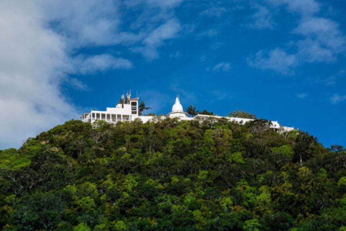 Your paragraph text (2)